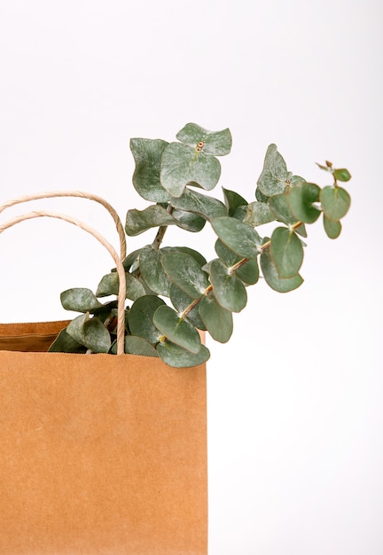 plantas de papel pardo artesanato dentro de fundo branco conceito de primavera