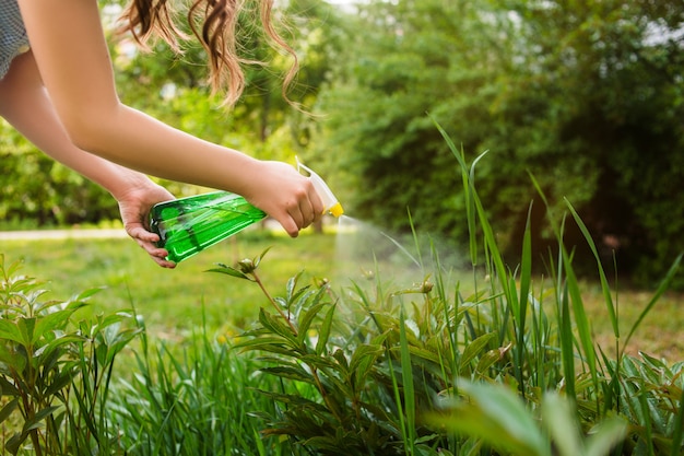 Plantas de pulverização na horta e horta com um spray protetor