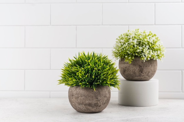 Plantas decorativas na mesa da cozinha