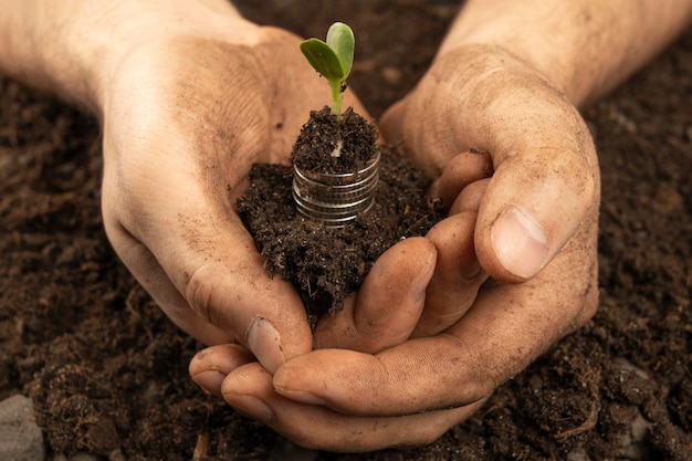 Plantas por dinero El concepto de crecimiento del dinero Un agricultor está tocando el suelo en un campo con las manos Las manos del agricultor sostienen suelo orgánico y plantas con dinero