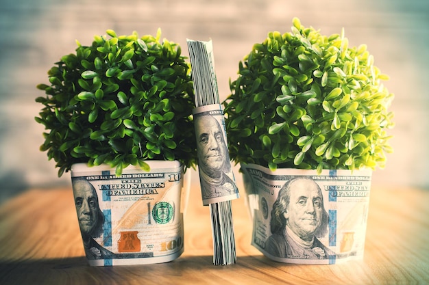 plantas con dolares