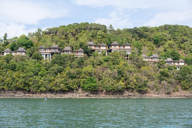 Foto plantas e árvores ao lado do rio contra edifícios