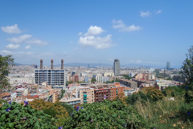 Plantas e árvores contra edifícios na cidade