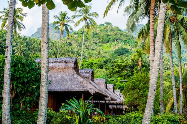 Foto plantas e árvores por construção em floresta