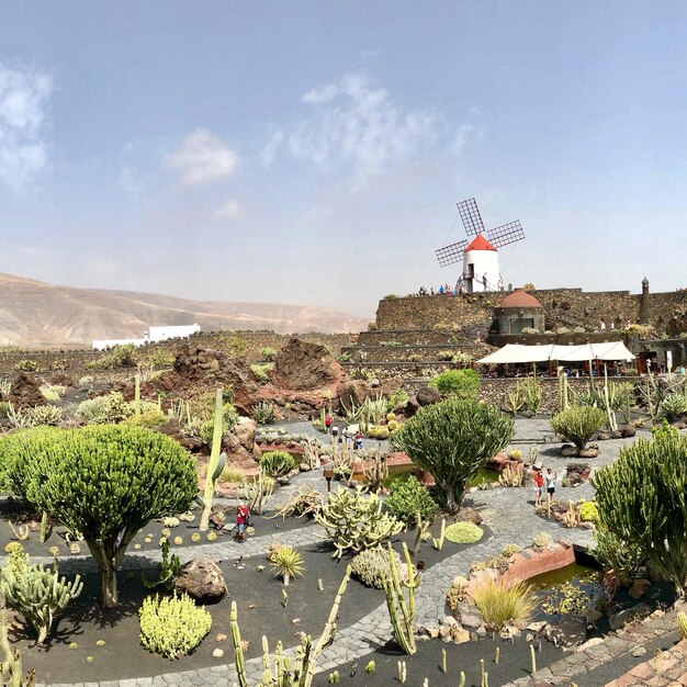 Foto plantas e edifícios contra o céu