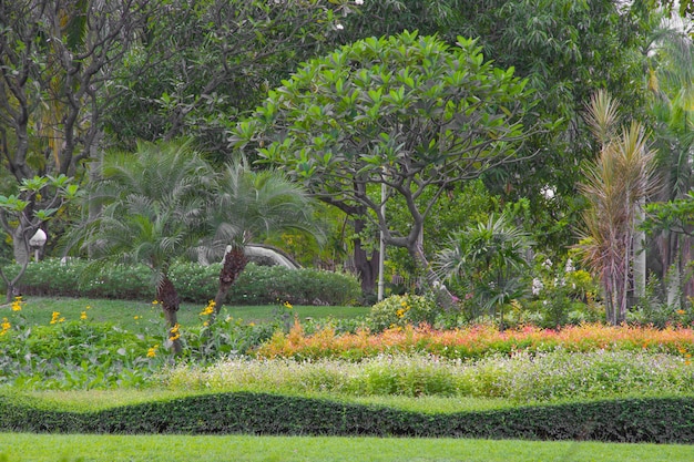 Plantas e flores decoram no jardim.