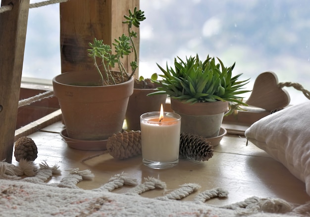 Plantas e vela na frente de vidro