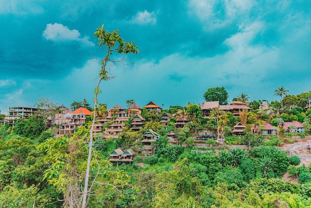 Foto plantas y edificios contra el cielo