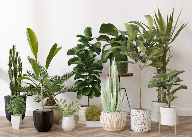 Plantas em casa em vasos de pé no chão em parquet em casa Conceito de amante de plantas verde detalhes do interior Vários vasos de plantas renderização em 3d