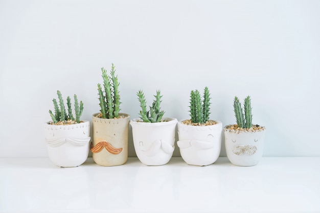 Plantas em pasta da casa do cacto na prateleira branca contra a parede branca.