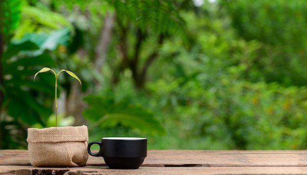 Plantas em potes de pano e canecas de café