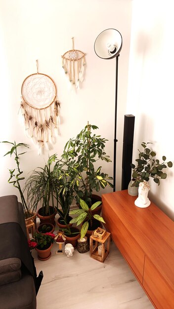 Foto plantas em vaso na mesa contra a parede em casa