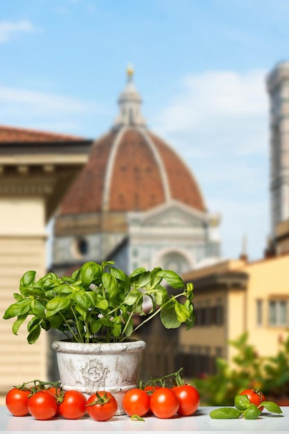 Plantas em vasos em meio a tomates cereja contra o céu