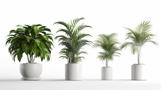 Plantas em vasos isoladas em um fundo branco