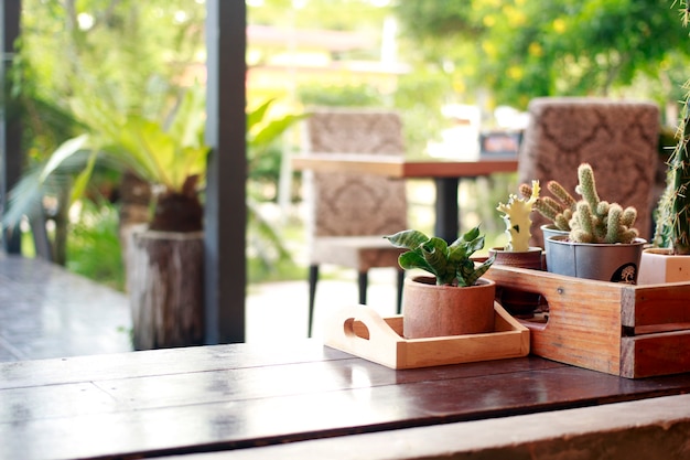 Plantas em vasos são usadas para decorar o local.