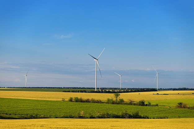 Plantas de energía eólica en campos verdes amarillos