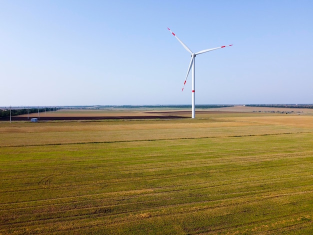 Las plantas de energía eólica se encuentran en el campo Molino de viento que genera electricidad