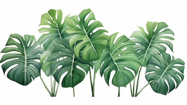 Plantas exóticas e folhas de palmeira em fundo branco geradas por IA