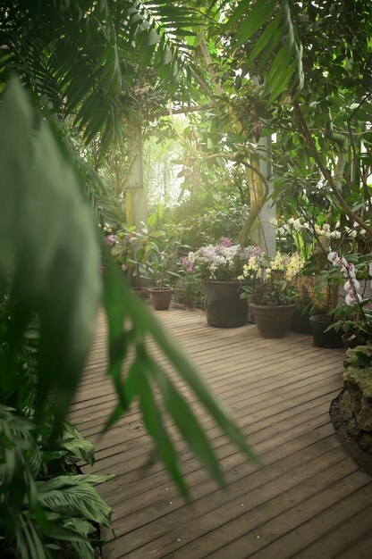 Plantas exóticas en invernadero jardín botánico de la Universidad Estatal de Moscú