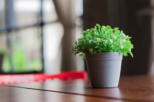 Plantas falsas em vasos de plástico em uma mesa de madeira.