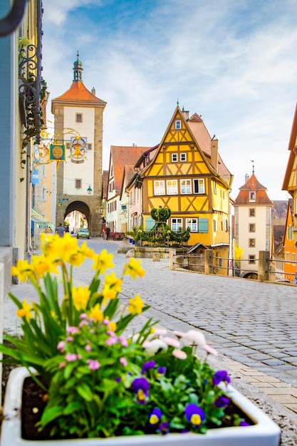 Plantas con flores amarillas por los edificios de la ciudad contra el cielo