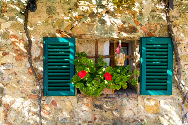 Foto plantas con flores contra la estructura construida