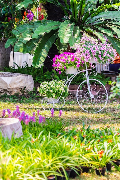 Plantas con flores púrpuras en el césped