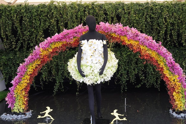 Foto plantas con flores púrpuras en el jardín