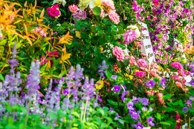 Foto plantas con flores púrpuras en el jardín