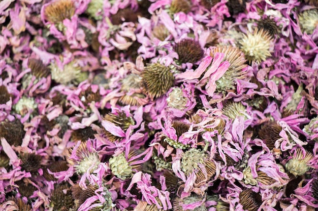 Plantas herbarias secas el mercado