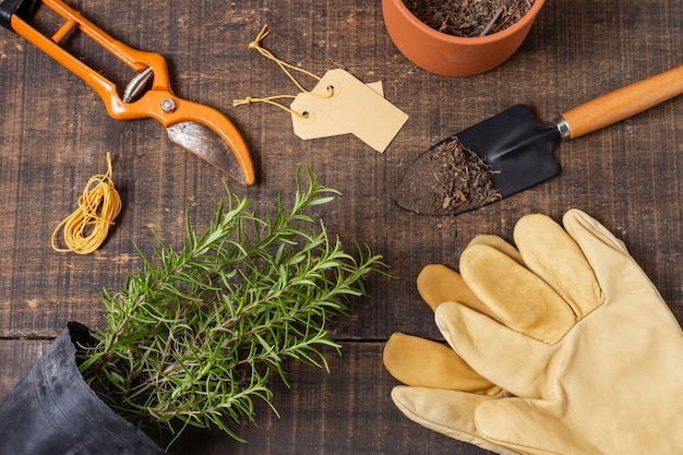 Foto plantas herramientas de jardinería cerrar