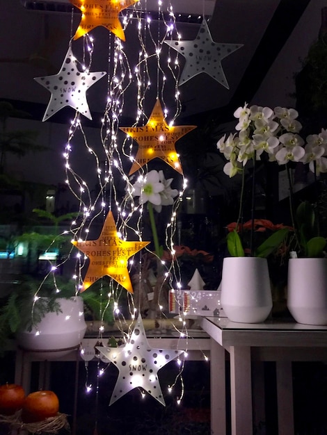 Foto plantas iluminadas em casa durante o natal