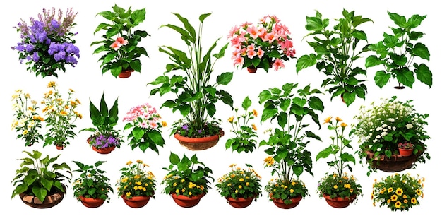 Plantas de interior en un fondo gris claro un conjunto de ilustraciones