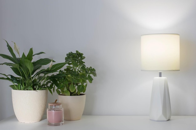 Plantas de interior y lámpara moderna en estante blanco