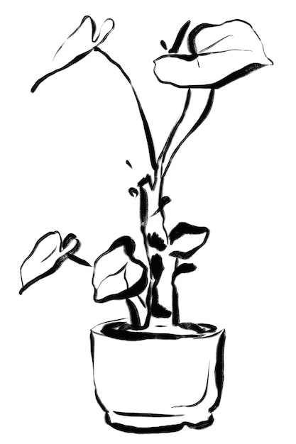 Plantas de interior png pegatina pincel de tinta con fondo transparente botánico