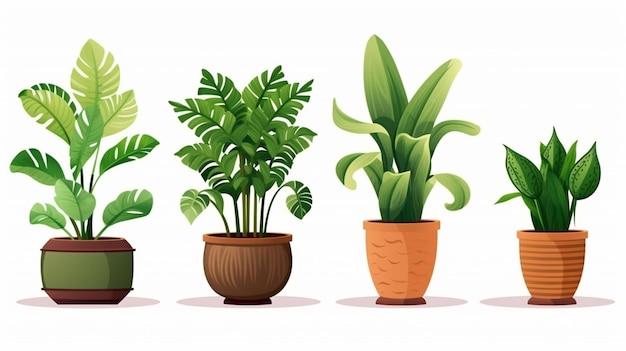 plantas interiores pot recortes de móveis isolados em fundo branco jardim transparente