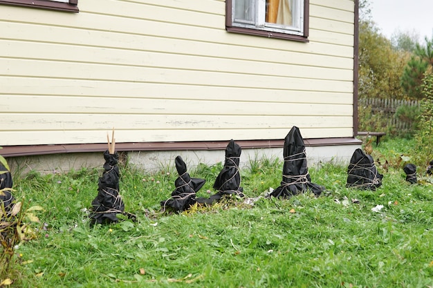 Plantas de jardín protegidas con un paño especial para protegerlas de la nieve y las heladas en el próximo invierno frente a una casa de campo