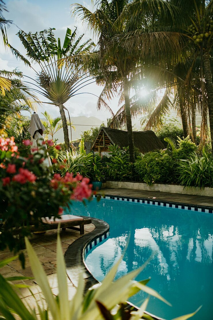 Foto plantas junto à piscina contra o céu