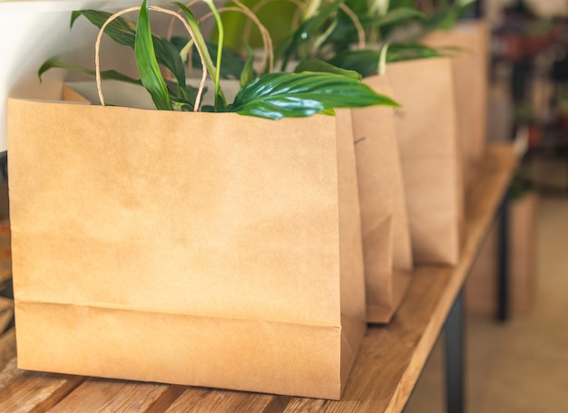 Plantas de lirio de la paz en la bolsa de la compra.