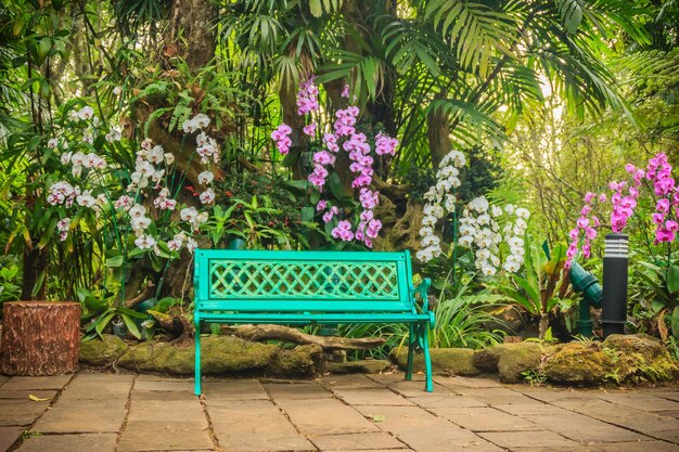 Plantas en maceta en un banco en el jardín