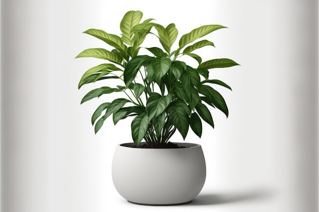 Plantas en maceta de cerámica Variedad de especies para usar como decoración Aisladas sobre un fondo blanco IA generativa