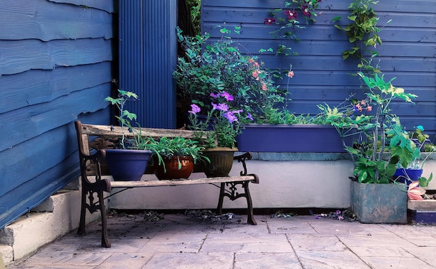 Plantas en maceta contra la pared de madera