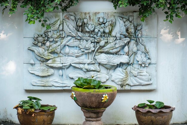Plantas en maceta contra la pared