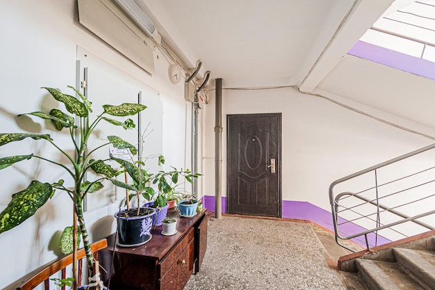 Plantas en maceta en la escalera de un edificio