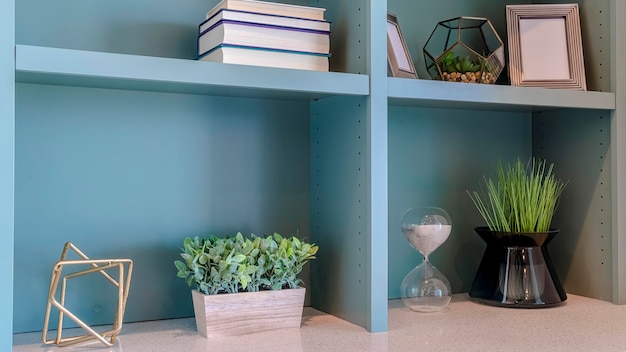 Foto plantas en maceta en la mesa en casa