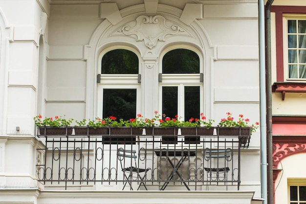 Foto plantas en maceta en la ventana del edificio