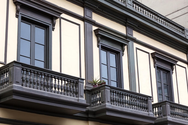 Plantas en macetas en el balcón.