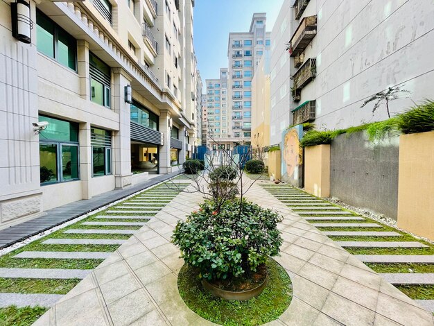 Plantas en macetas en la calle junto a los edificios contra el cielo