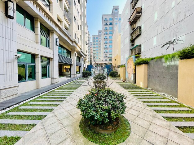 Foto plantas en macetas en la calle junto a los edificios contra el cielo