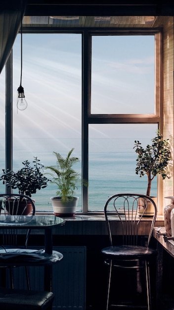 Plantas en macetas en la mesa junto a la ventana